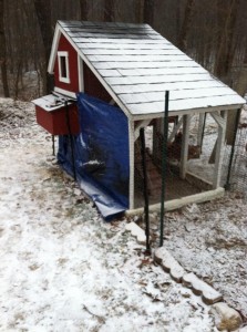 The Chicken Coop before the snow really started.