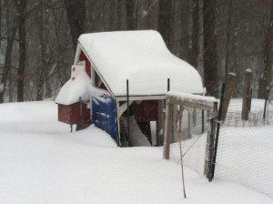 Chicken Coop after the snow