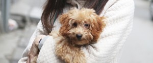 Caring for Animals 2.3.6.0
