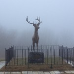 The Elk on the Summit